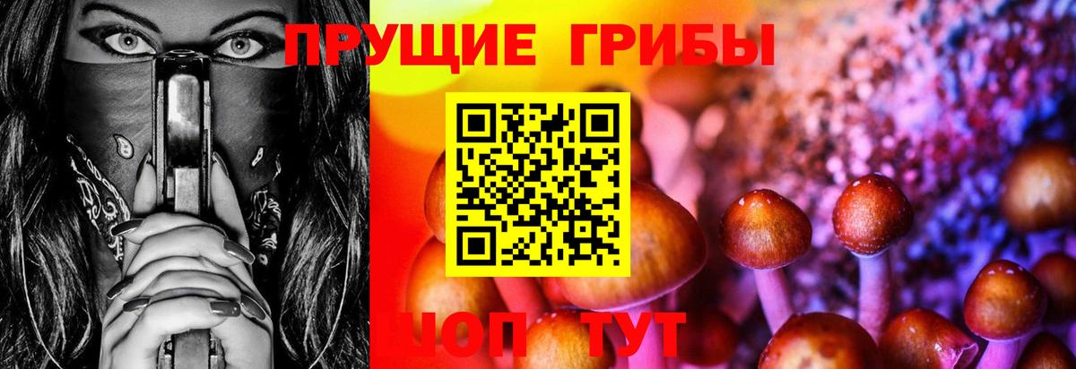 Михайловка  Псилоцибиновые грибы Psilocybine cubensis  купить закладку  Галлюциногенные грибы мицелий  Вход с VPN 